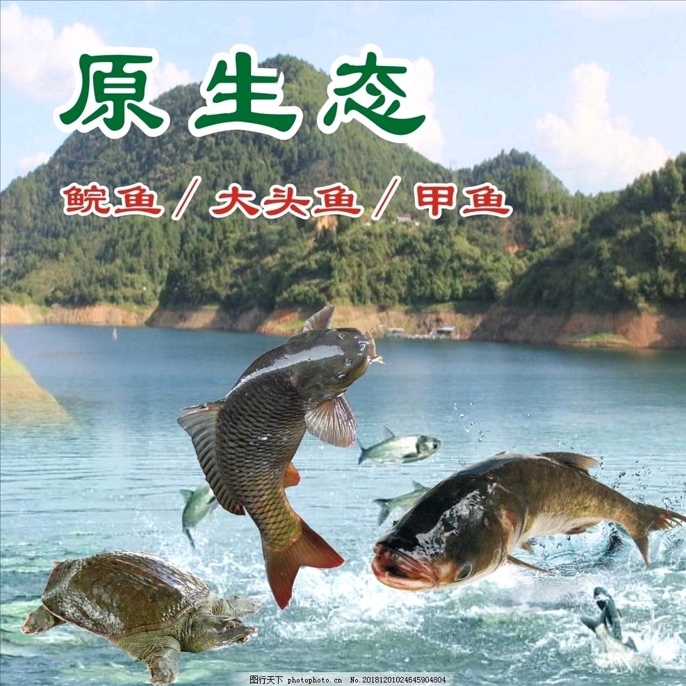走钢丝的胖子