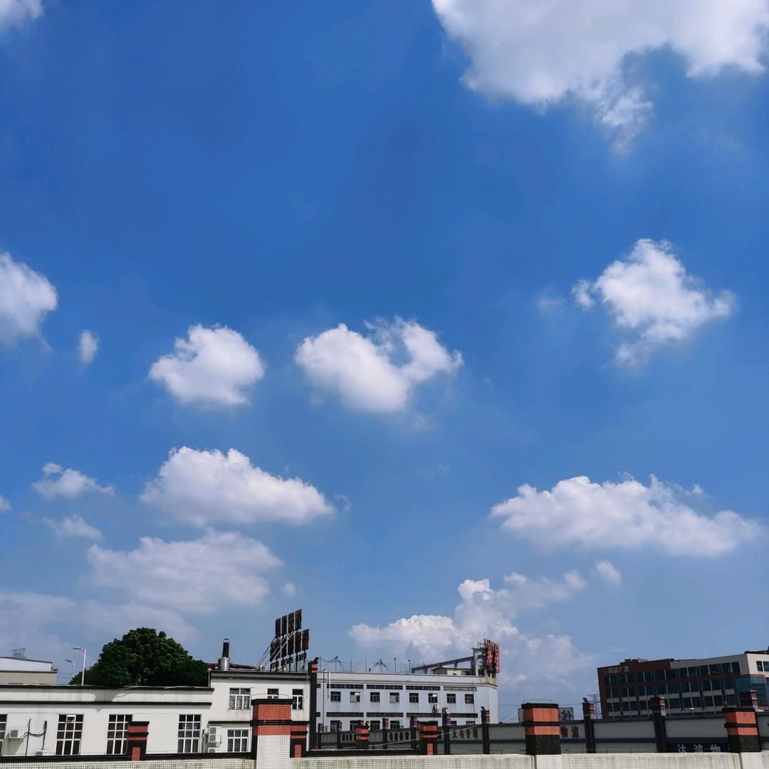 小陈