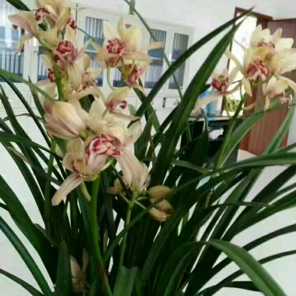 小李：🐭：72:🐭:9月：