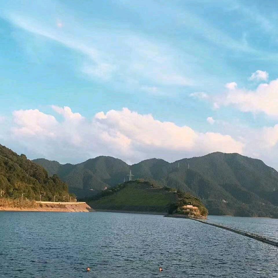 谁知我心