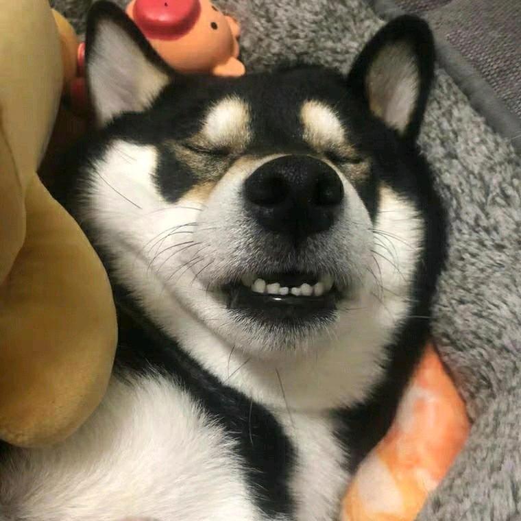 骨肥如柴