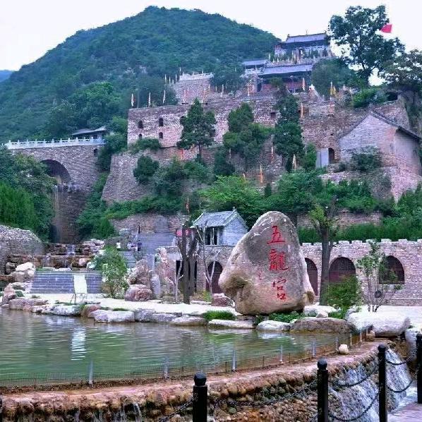 胡杨魂