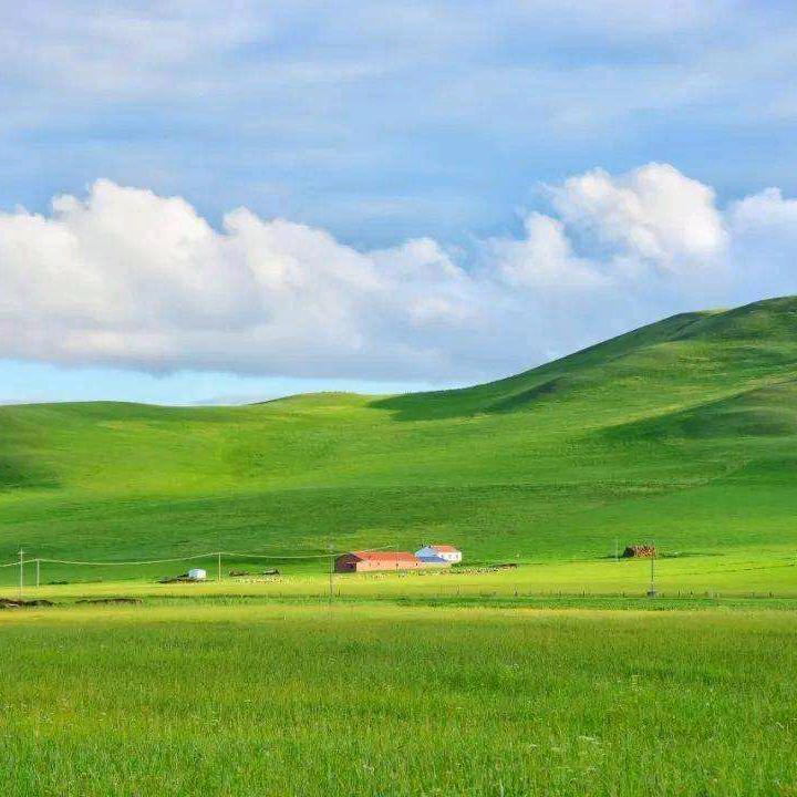 🌾盛夏七月🌾