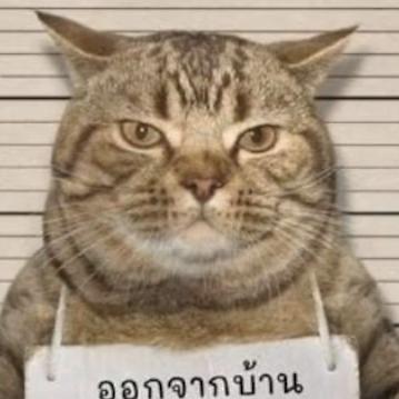 阴三少