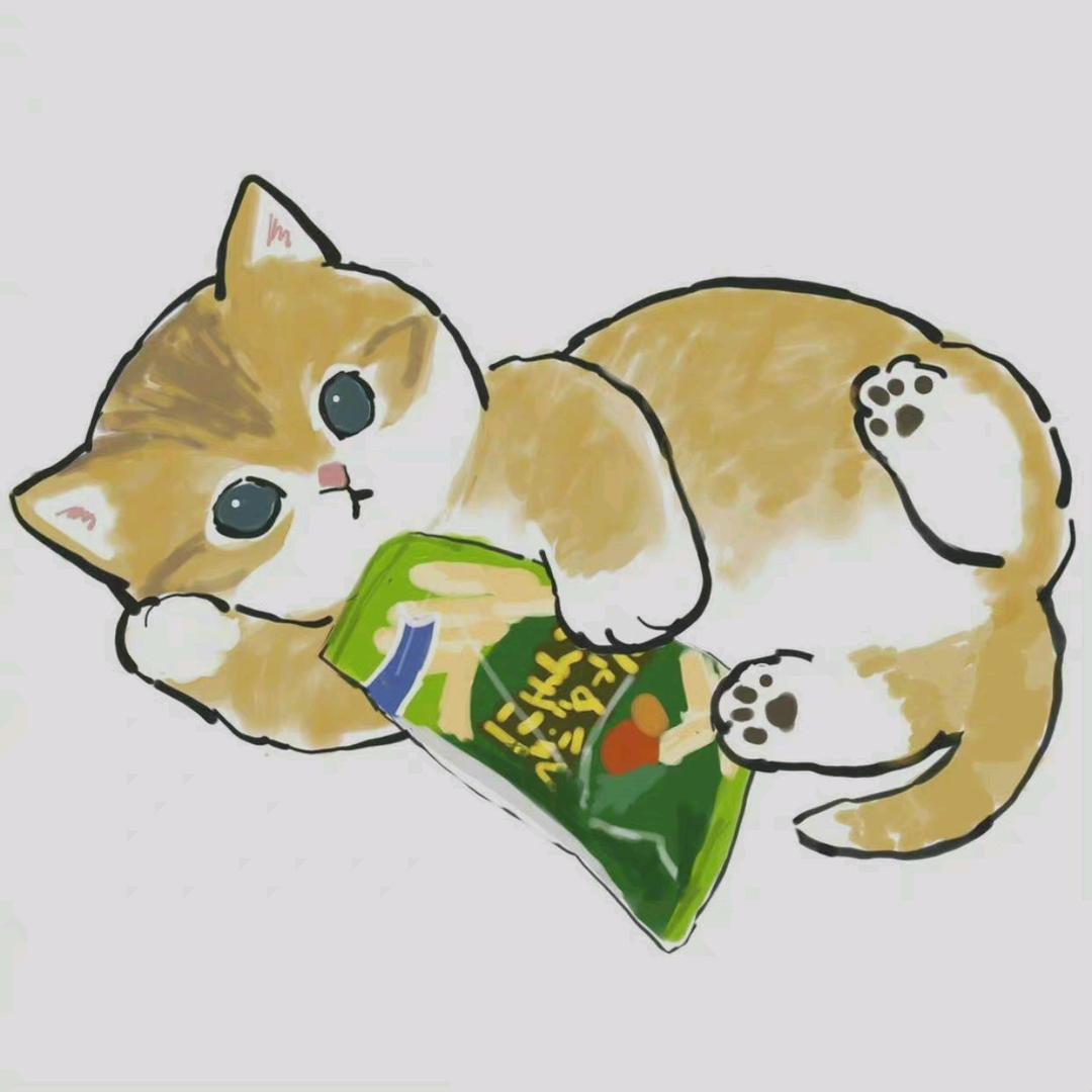 珞珈山的猫