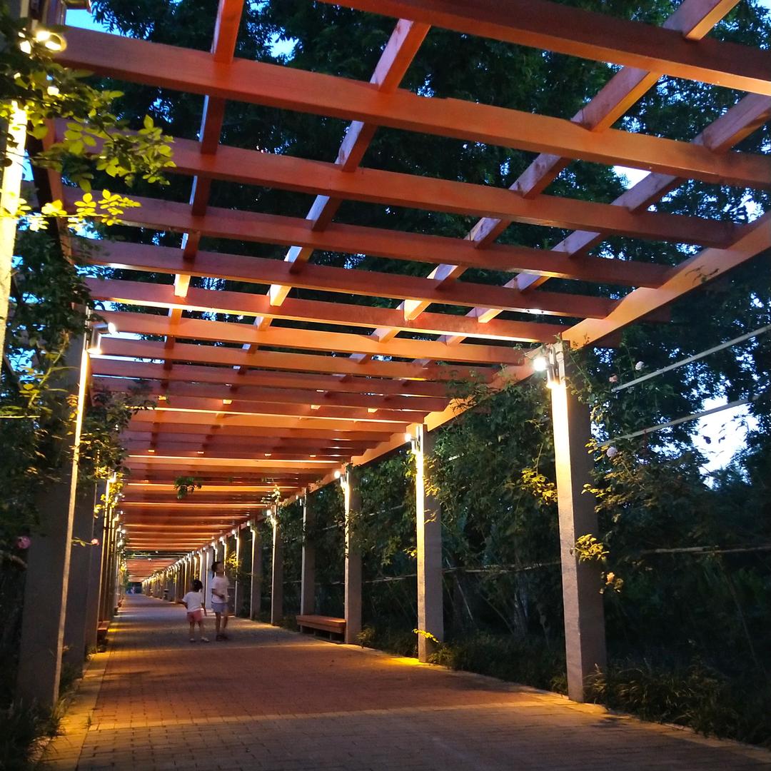 芝士火鸡面