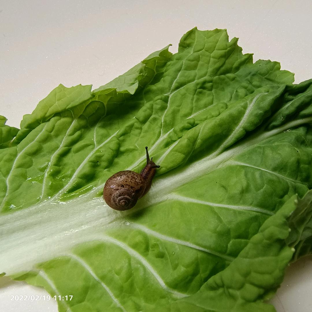 记录宝宝的成长