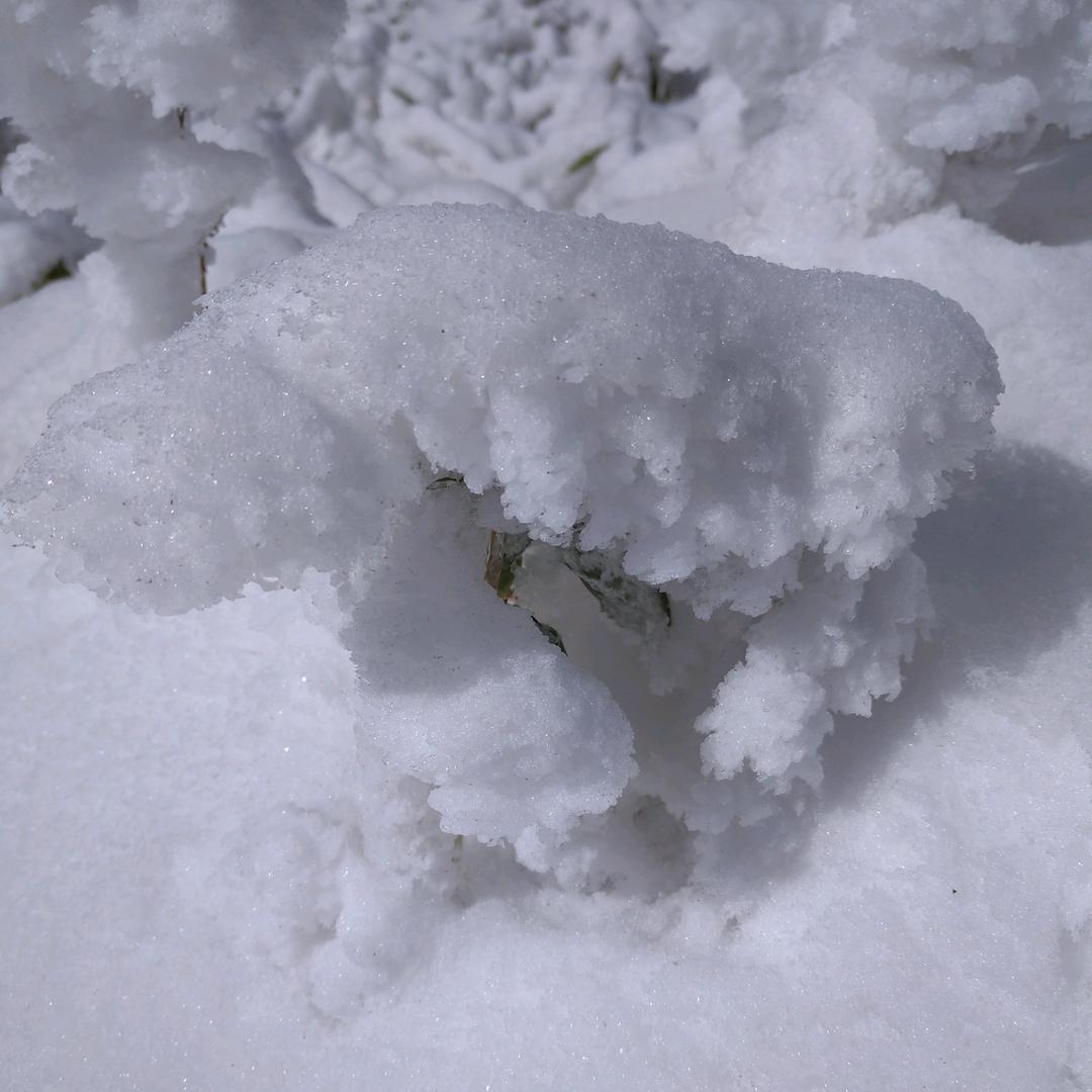 田惠