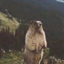 ！！！！！！！！！！！