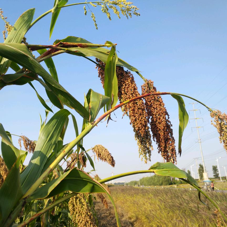 一半海水，一半🔥