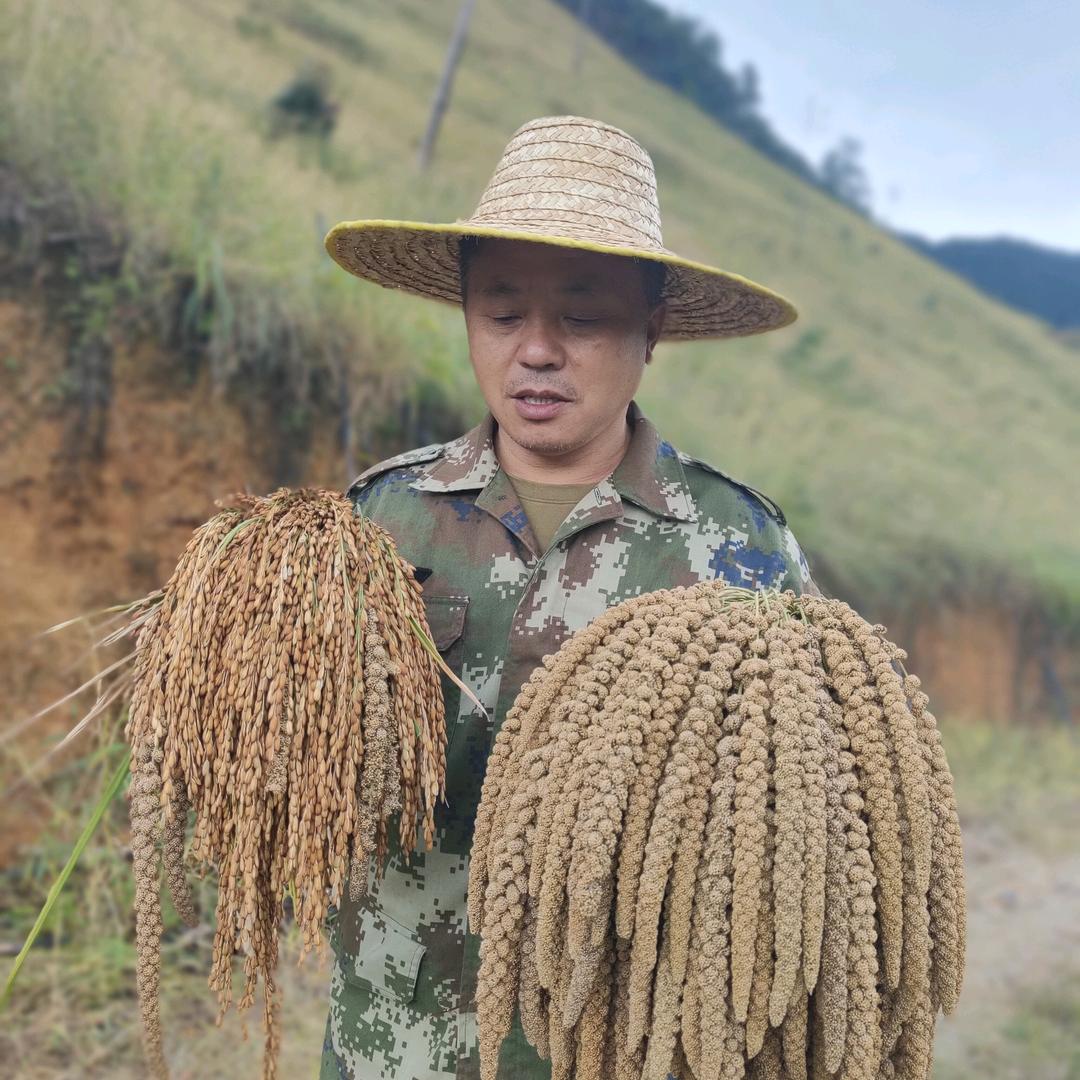 劳动创造财富