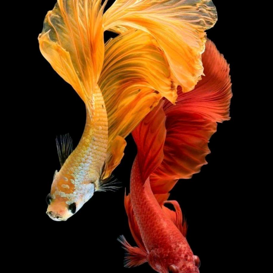 别闹我再睡一会