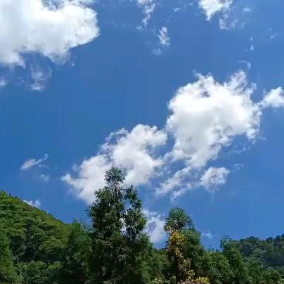 与人为善