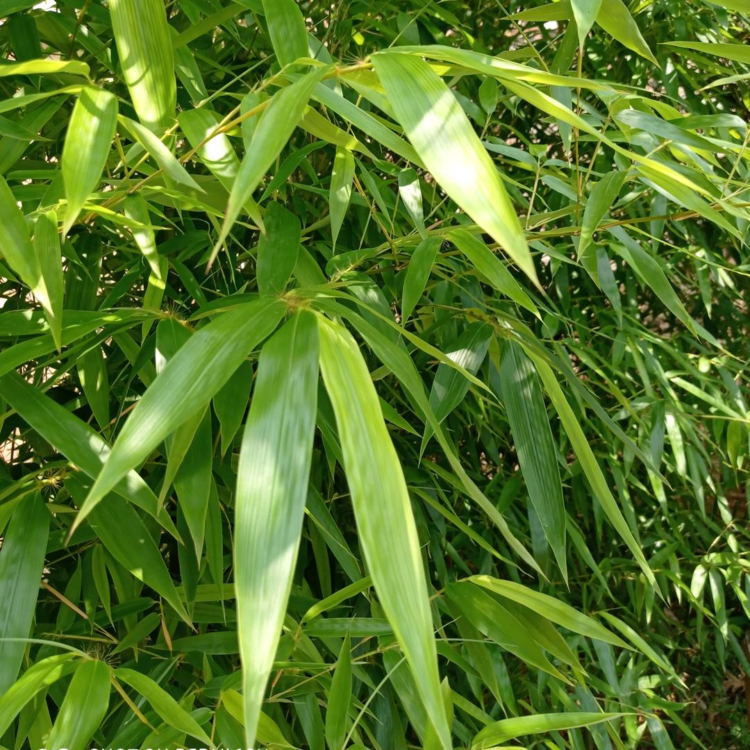 阿军造型(城壕路店)官方号