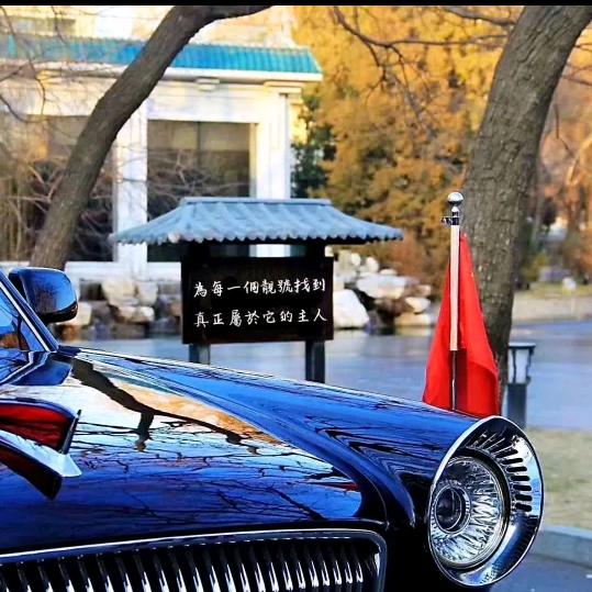 一匹脱缰的野马