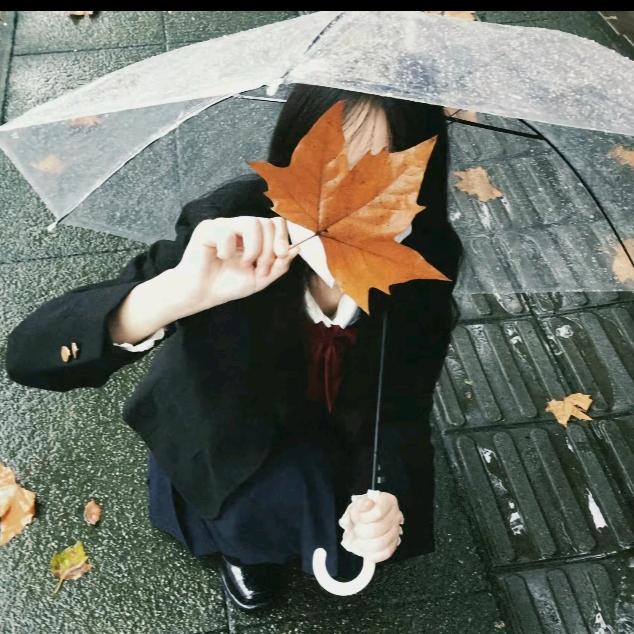 🌈岁月如歌