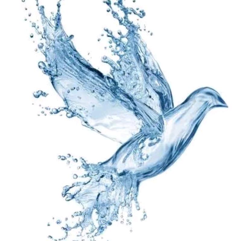 来福花卉（手机摄影）