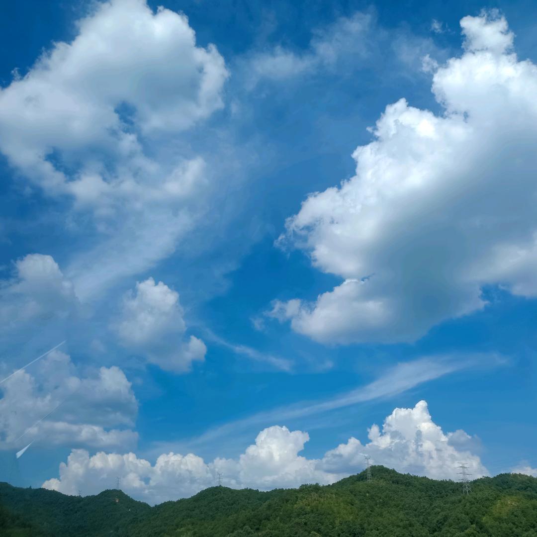 紫霞仙子
