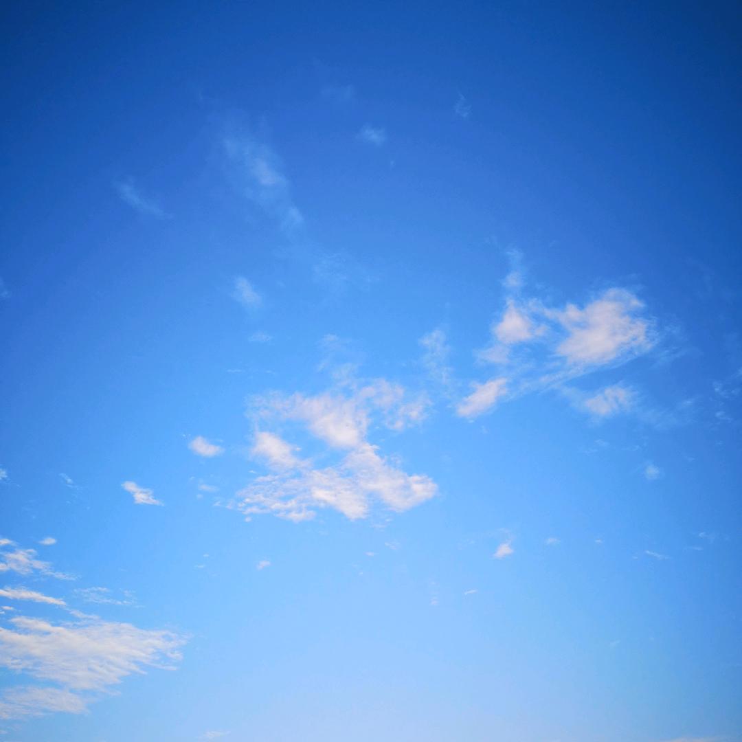 彤彤宝宝🥰