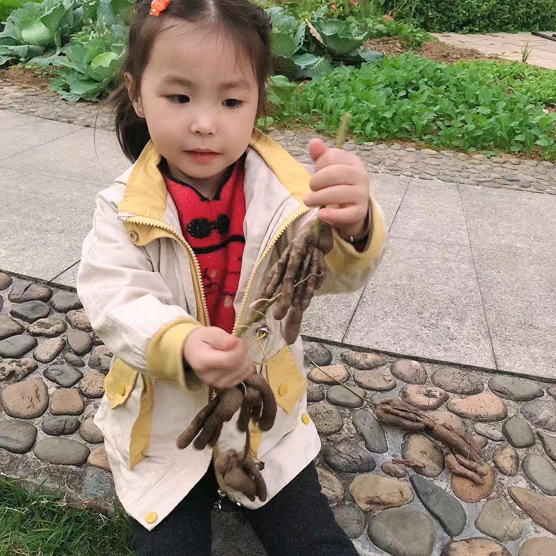 天香商行