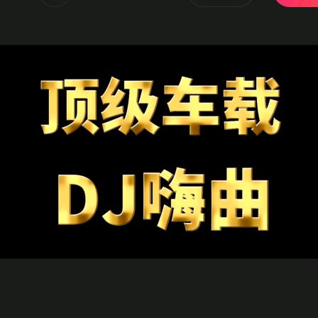 雁过无痕顶级DJ嗨曲U盘