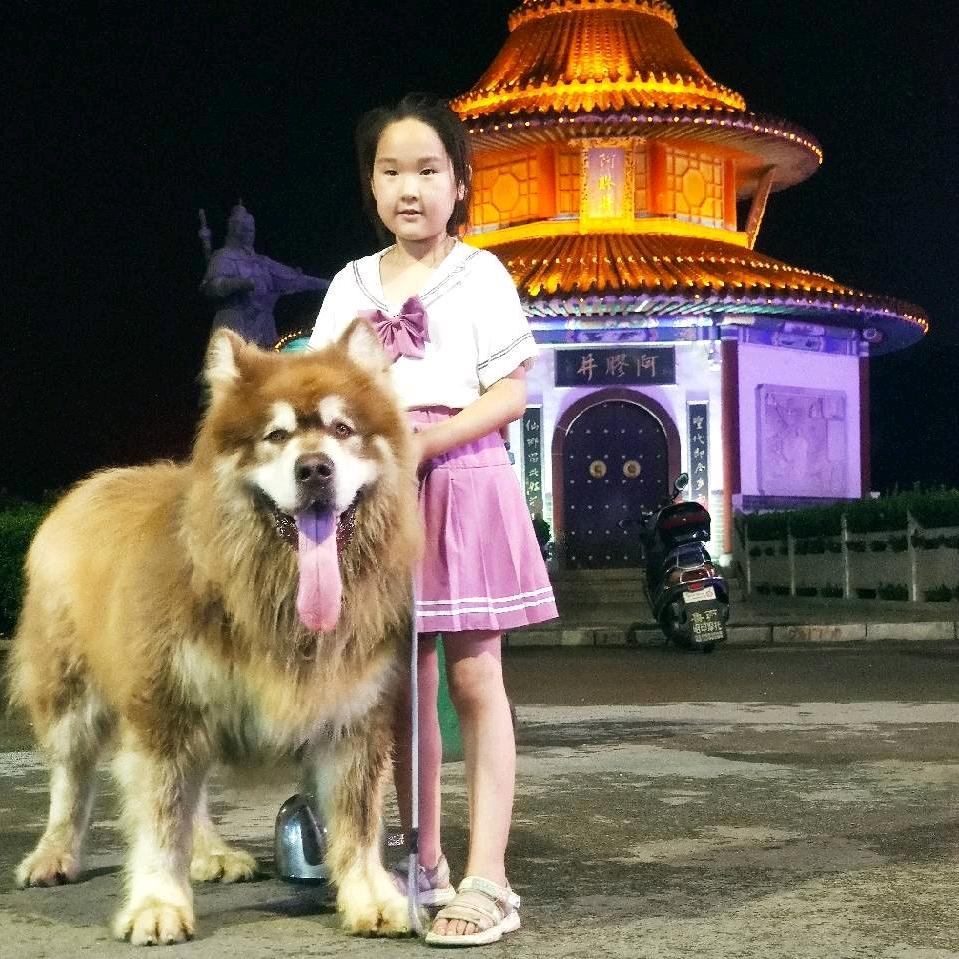 聊城帅子阿拉斯加