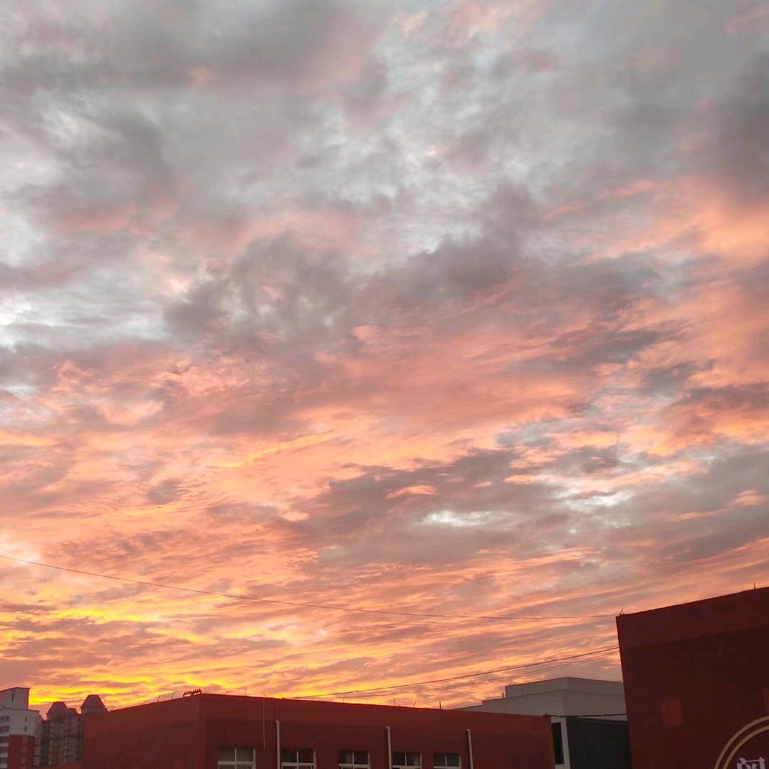 平舆实验中学高二级部（2024级）