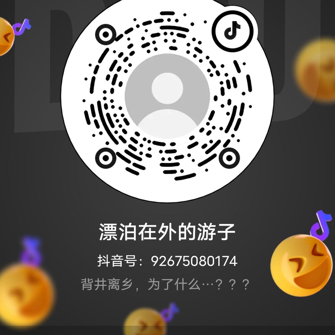 漂泊在外的游子