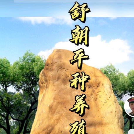 舒朝平