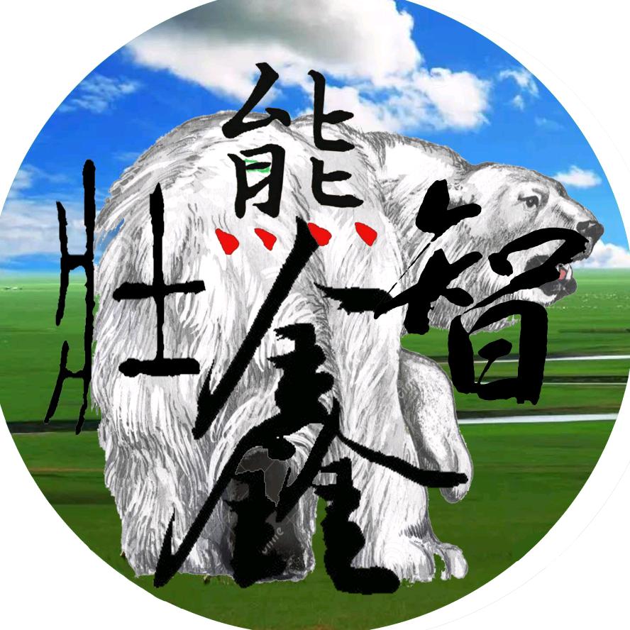 熊鑫壮智