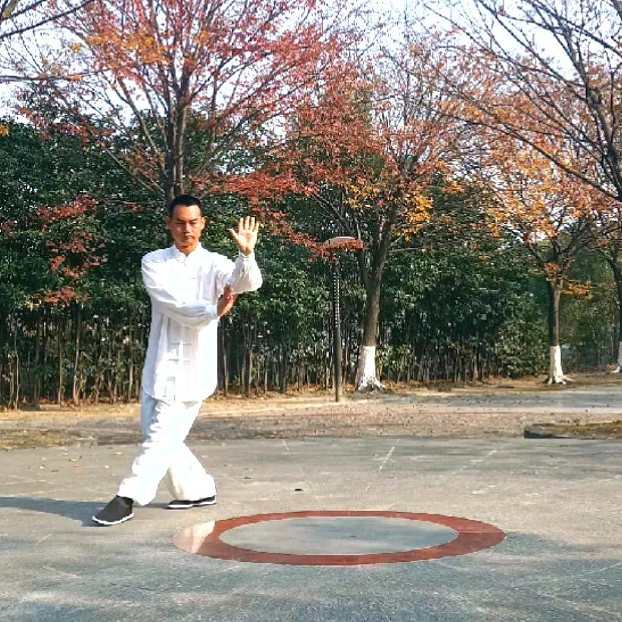 黄先生&以武会友