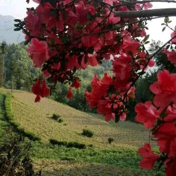 看破红尘，让心归零