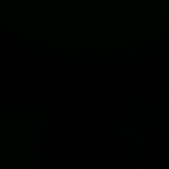 阿哥