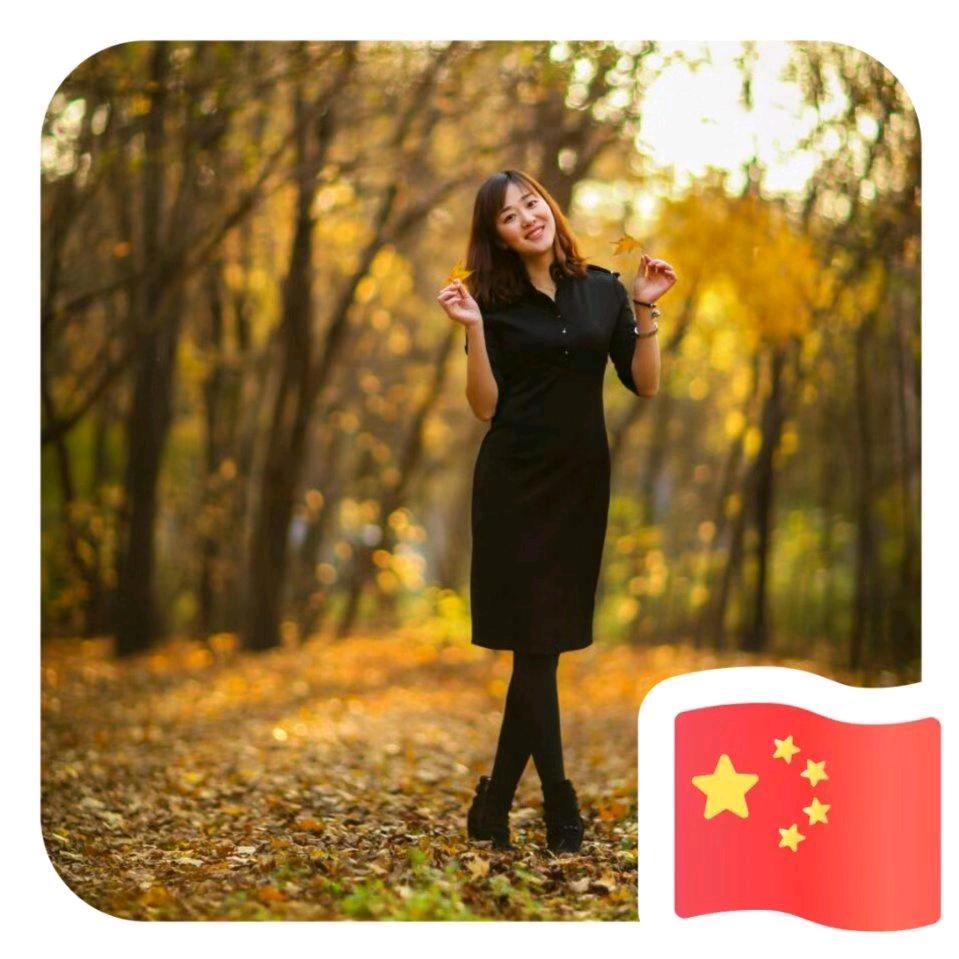 谁装饰了我的梦