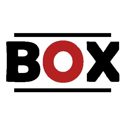 BOX 流体仿真