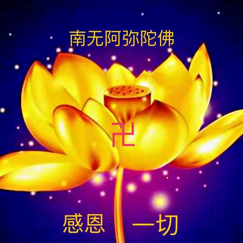 安娜@