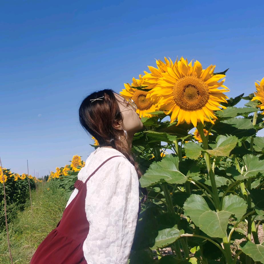@雪雪儿