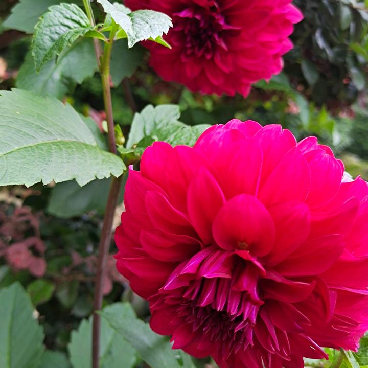 用户3876260711707张姐