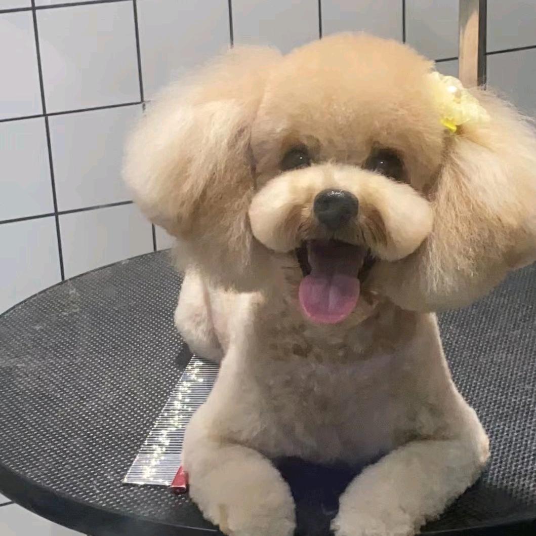 平安健康就是福