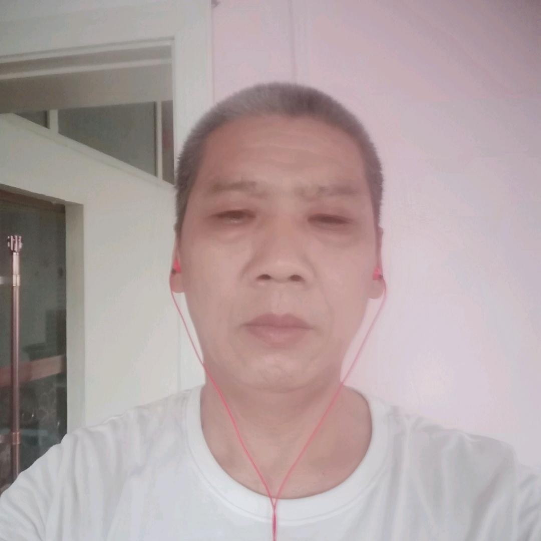 斑马