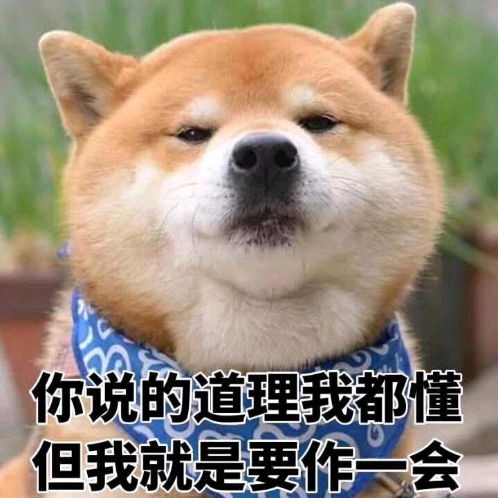 陆柒陆2