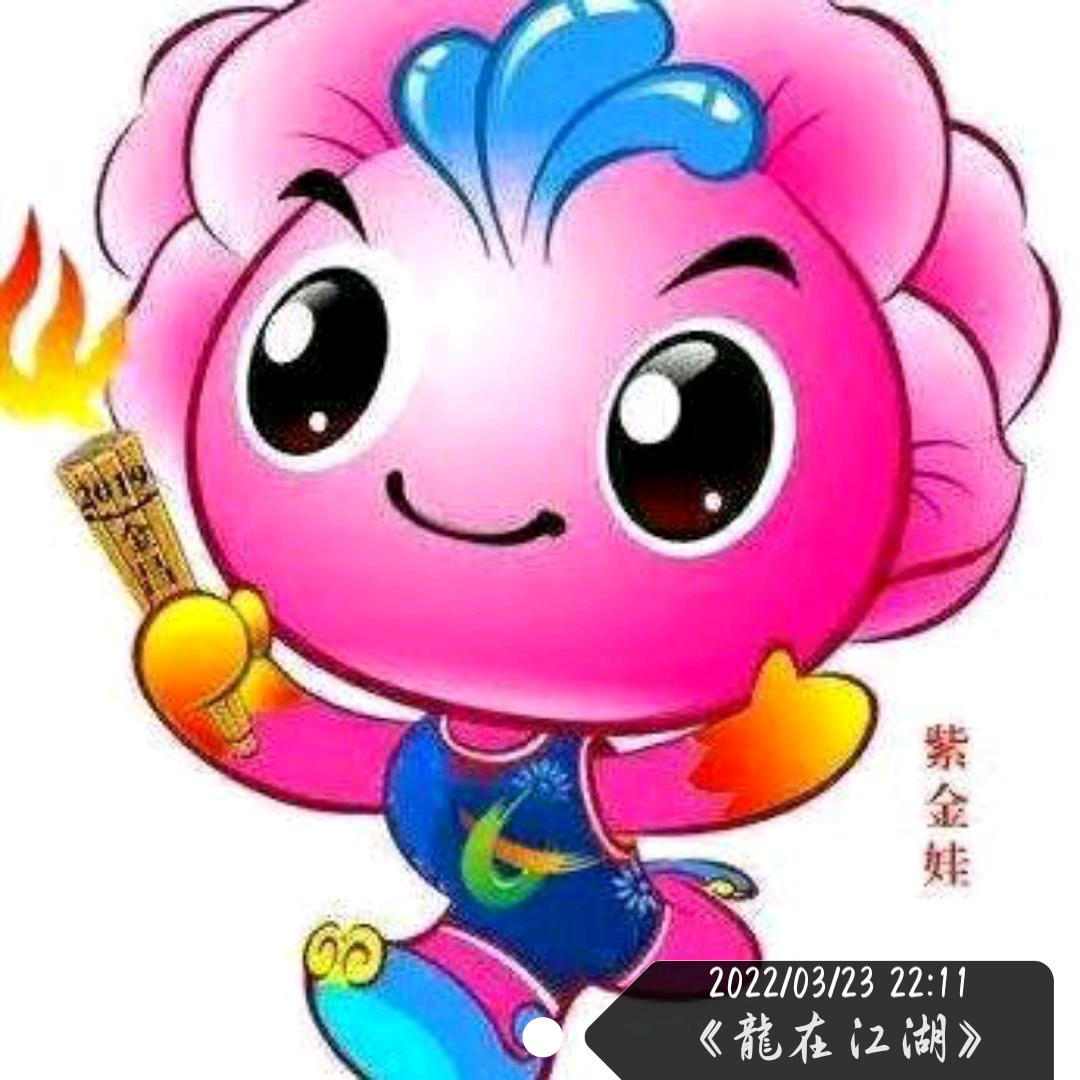 🇨🇳＜龍在江湖><龍翔鸽业>