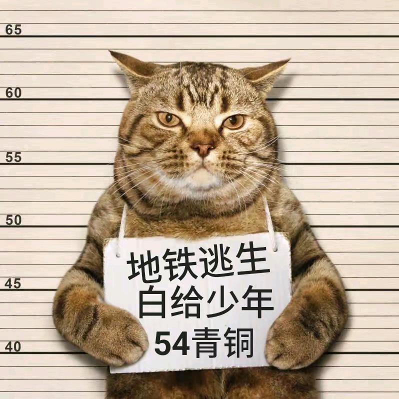 肖恩念念
