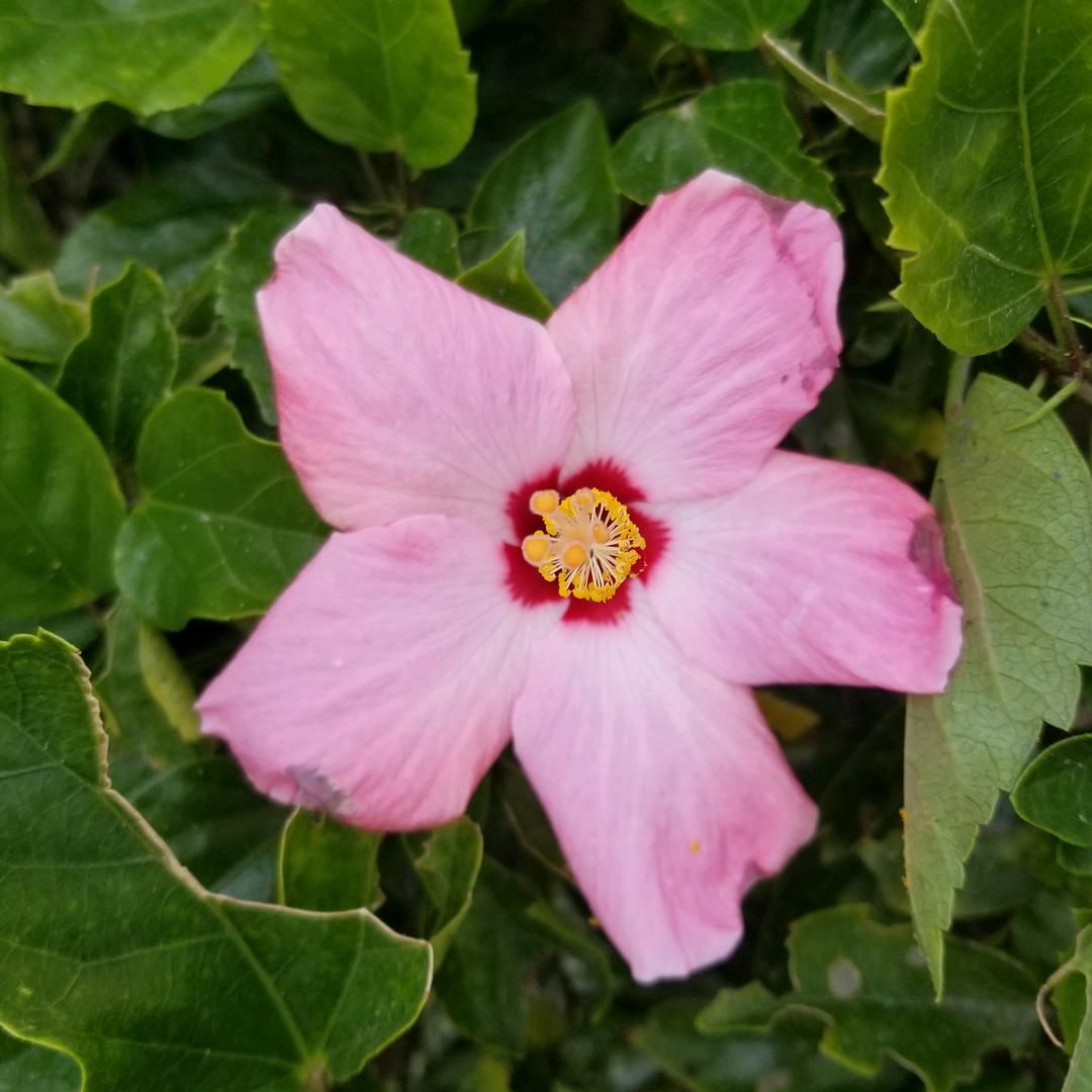 越来越好，越来越顺