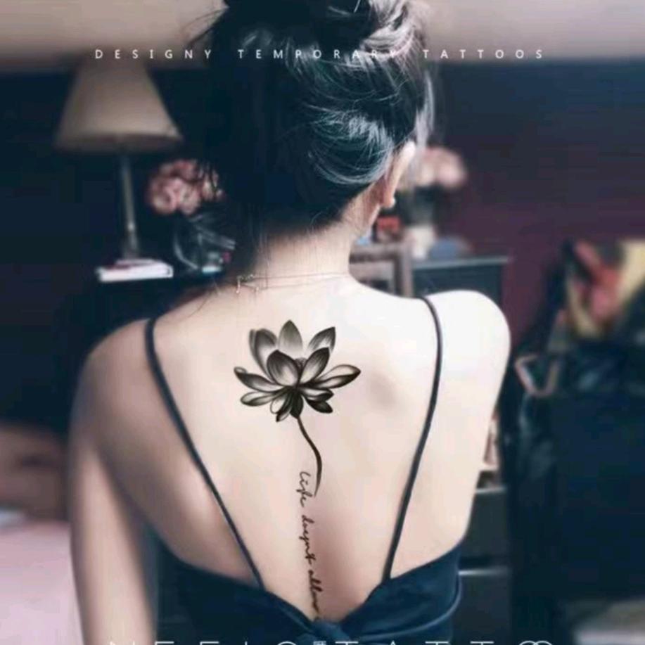 诺诺🍀