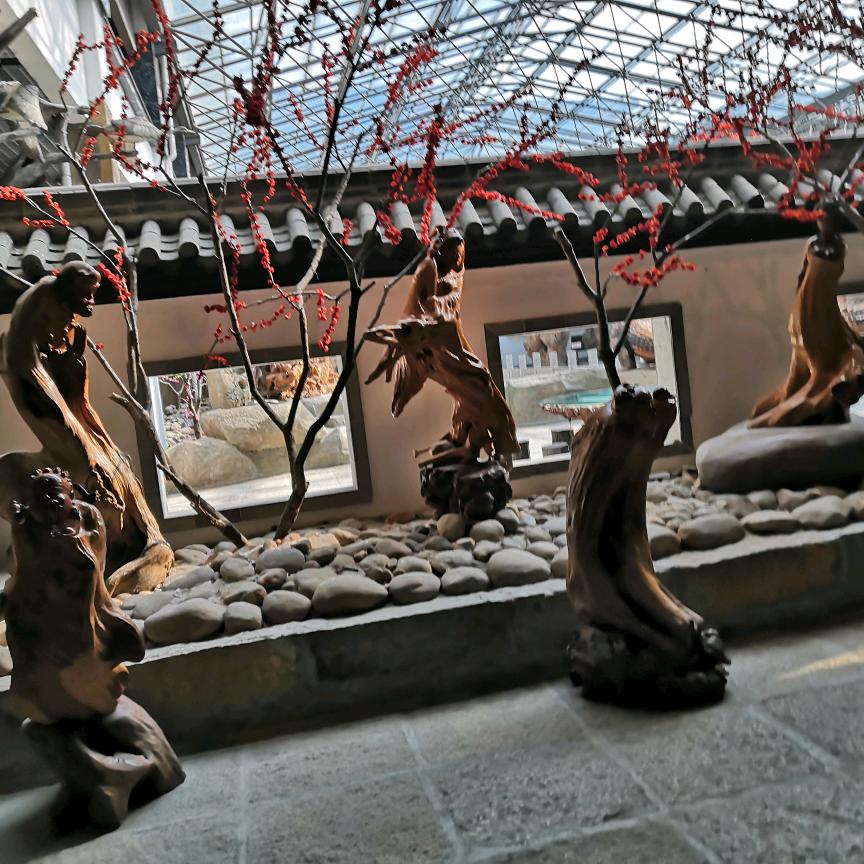 蓝天下的向日葵🌻