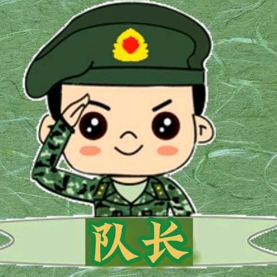 爆笑特工队