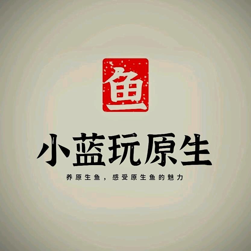 小蓝玩原生