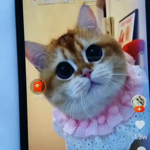 福婆婆