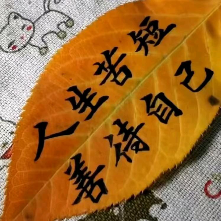 🐍  雅  玲  🌱🌱